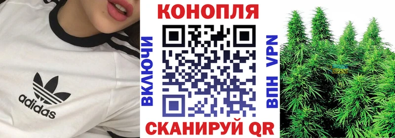наркотики Мариинский Посад Бошки марихуана Amnesia